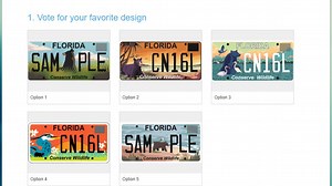 Art students compete for Florida's new 'Conserve Wildlife' license plate design