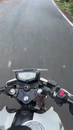 morning view 😍 ✨️