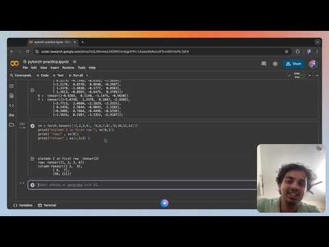 pytorch day 2 part 5 Neural network simulation & slicing