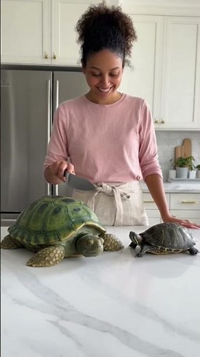 poor turtle getting scared!