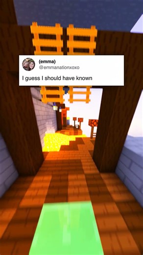 Funniest Bird Memes!