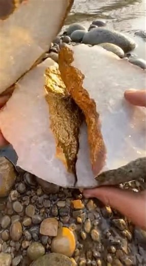 นักล่าทอง #theyopro #aivideo #gold #ทองคำ