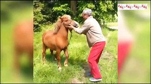 FARM ANIMAL FAILS Funny Fail Compilation