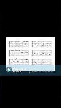 String Qurartet - 1mov. ↑本編はこちら ｜弦楽四重奏 第1楽章ショート版