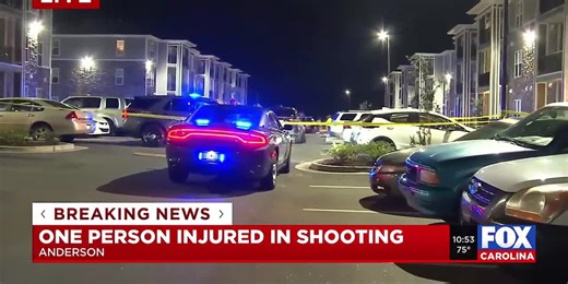 Deputies searching for suspect after shooting in Anderson