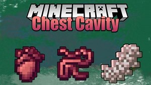 Мод Chest Cavity 1.19.2/1.18.2 (Органы в Майнкрафт)