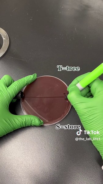 Comparing Berries: Fresh from the Tree Vs. Store-bought
