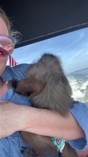 He loved it! #everetthenry #boatride #beach #cutemonkey #adventure #babymonkey #capuchin #monkey #monkeysoftiktok