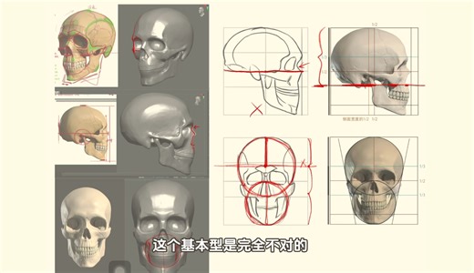 头部结构调整：完善头骨与面部结构！