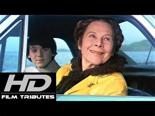 Harold and Maude • If You Want to Sing Out, Sing Out • Cat Stevens | Mark Ellicott