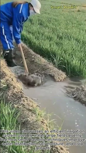 Smart Irrigation System for Large-Scale Farming #worker #process #farming #irrigation