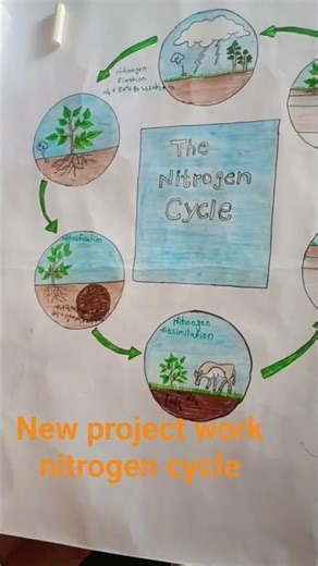 new trending project work class 9th science project work new trending video