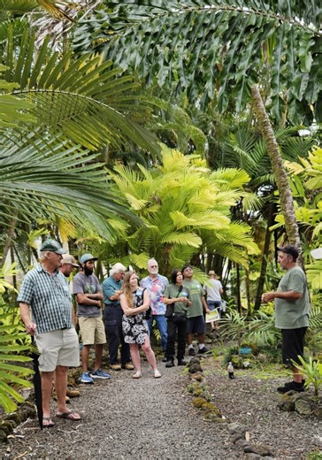 UH Hilo event celebrates new, international recognition of campus palm plants | Big Island Now