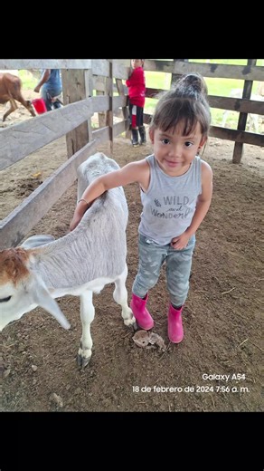 hector serrano (@hectorserranoacev)’s videos with sonido original - Valeria Garrido