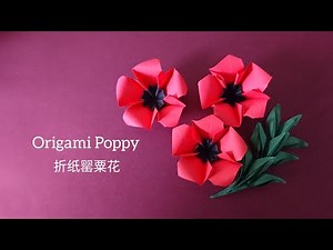 Origami Poppy Flower/ 5-Petal Flower 折纸罂粟花(V1)