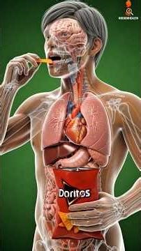 This Is What Doritos Really Do to Your Body😳#humanbody#anatomy