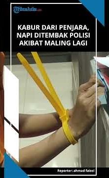 SUMENEP DETAINEE SHOT BY POLICE, Caught After Escaping and Stealing Again in Bangkalan