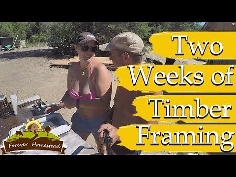 Two Weeks of Timber Framing (TIMBER FRAME HOUSE BUILD) S04E01