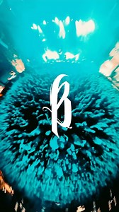 Breakdown of Sanity on Reels