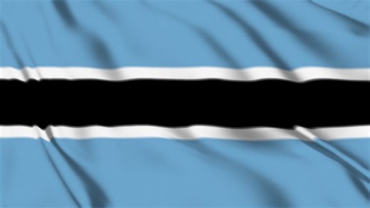 Botswana Flag, Botswana Flag Background, Brain. Free Stock Video