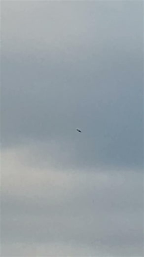 한강 맹금류_말똥가리 추정 고공비행_10x und60_Galaxy note 10