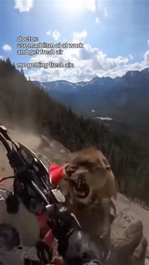 Fresh Air or fresh PAIR OF CLAWS 😭💀 Chose a weekend ride over work…Nature chose to make it interesting. 😭🏞️ Thanks to Marblism, I didn’t have to worry about emails while dodging chaos. Follow for more animal adventures! because Marblism AI handles my 9-5 🙂‍↕️ #fyp #viral #naturetok #animalattack #businesstok #entrepreneur #motorbike