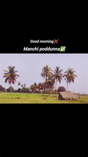 manchi poddunna ☀️ #comedyshorts #fuunyshorts #shortsfeed #trendingshorts
