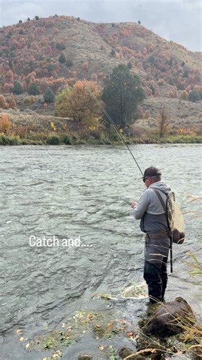 Release the tension on the fly and the fish usually unhooks themselves. A good net, barbless hook and maybe one pancake flip makes releasing fish pretty easy. #troutflies #barblessflies #catchandrelease #catchafish #flyfishingtips #flyfishing #smittysflybox | Smitty's Monthly Fly Box