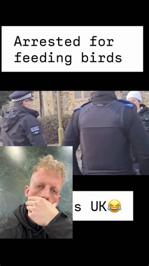 Plant Geezer on Instagram: "A list of orders that people blindly follow from their masters: Leave dog in a hot car❌ feed birds ❌ catapult ducks❌ fist cats❌ You can: smash window & save dog✅shoot birds✅ suffocate piglets✅ fist cows✅ End the animal fetish"