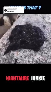 Alien slime Captured on Camera?? #scary #creepy #aliens #crypted | The Other Side 2.0