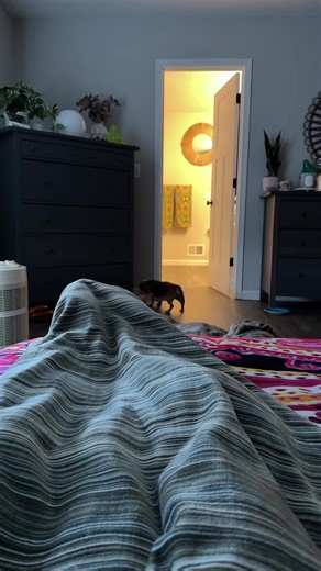 Understanding HVAC Routines: A Guide