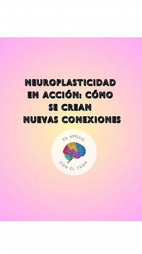 Los nervios transmiten mensajes eléctricos por todo el cuerpo en milisegundos. Cada nervio es como un cable de hilos aislados, y cada hilo se llama fibra nerviosa o axón. Un axón es la parte principal de una sola célula muy larga, llamada neurona, cuya función es conducir la señal. 1.Los nervios pueden repararse a sí mismos: A diferencia de muchos otros tejidos del cuerpo, los nervios tienen la capacidad de regenerarse. Este proceso, conocido como neuroregeneración, permite que los nervios dañad