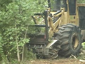 Site Preparation: Mulching 6