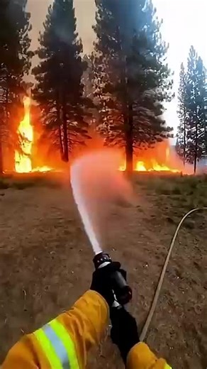 A brave firefighter rushes into a raging forest fire and discovers a frightened baby deer trapped in the smoke and flames. With no time to spare, he lifts the deer and carries it safely out of the burning forest. This emotional rescue showcases the courage and compassion firefighters show during dangerous situations. ⚠️ Important: This video is AI-generated for storytelling and entertainment purposes. No real animals, people, or locations were harmed or placed in danger. This wildlife rescue sto