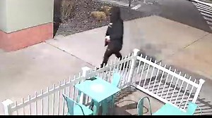 40K views · 11 reactions | Carson City Sheriff's Office on Reels | Facebook