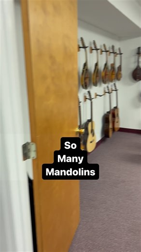 The Mandolin Store on Instagram: "Check out all these mandolins!!! #mandolins #mandolinsofinstagram"