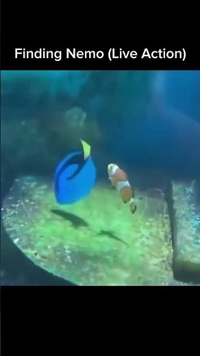 Finding Nemo (Live Action)