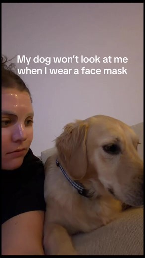 Why Dogs Ignore You in Face Masks: Explained