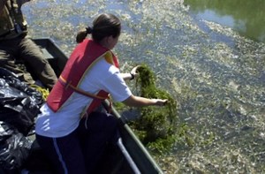 Aquatic and Wetlands Ecosystems Research and Development Center