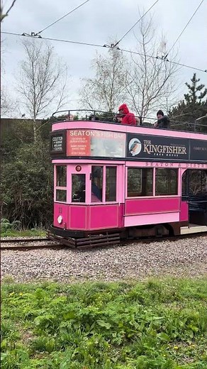 Seaton tram