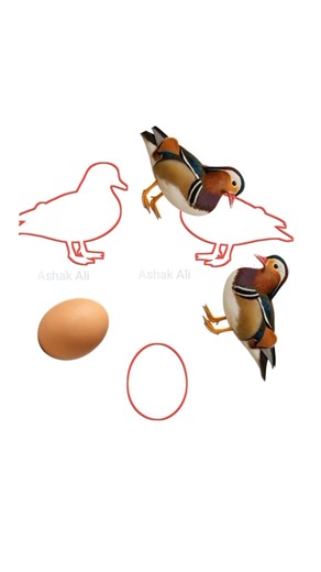 China Hase's Shadow Matching Challenge #challenge #funnyshorts #matching #match