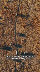 Wildlife Artist of the Year is not just a competition, it's a community. 👥🙌 With only two weeks to go, we're thrilled to share the anticipation and excitement of this year's finalists. Their feelings are a testament to the incredible art you'll experience at the exhibition. The whole team at DSWF feels privileged to have such a passionate and committed community surrounding this competition, including ambitious amateurs and talented newcomers from across the world. This renowned wildlife art c