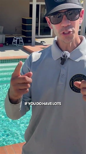 Trees Near Your Pool Look Great, But They Need Extra Care