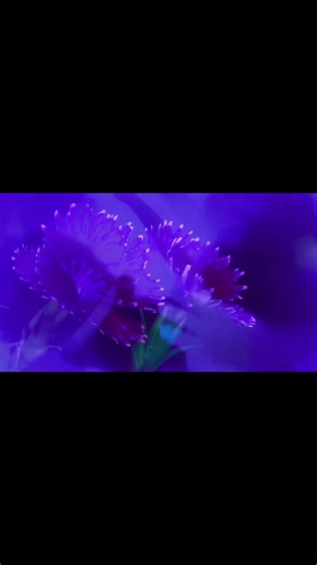 #cloudrap #targetaudience | rap samples