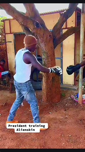 BAST WA ALIEN SKIN🤟 (@bastwaalienskin)’s videos with original sound - Gentlem🅰️n Lyrics 256🌹🇺🇬👔