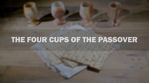 As Passover begins, watch The Friends of Israel Today radio host Chris Katulka in this video as he teaches about the significance and meaning behind the four cups of the Passover. | The Friends of Israel Gospel Ministry, Inc.