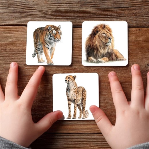 Big Cats Montessori Flashcards, PDF Digital Download - Etsy