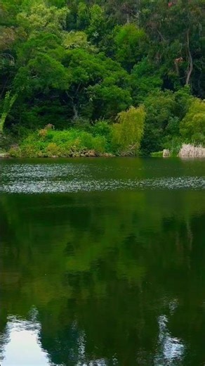 ✨️Transforming Goals & Lessons