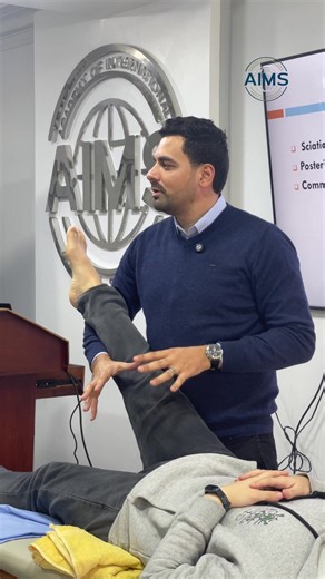 The Blend: A Comprehensive Manual Therapy Program