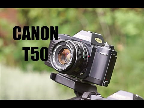 Canon T50 Film Camera Review !BACK TO ANALOG! #7